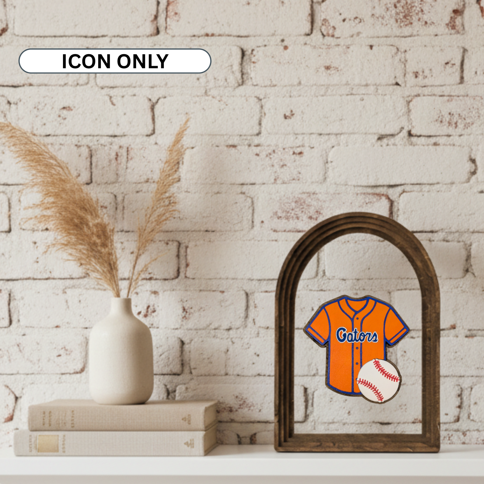 Florida Baseball Jersey Interchangeable Icon
